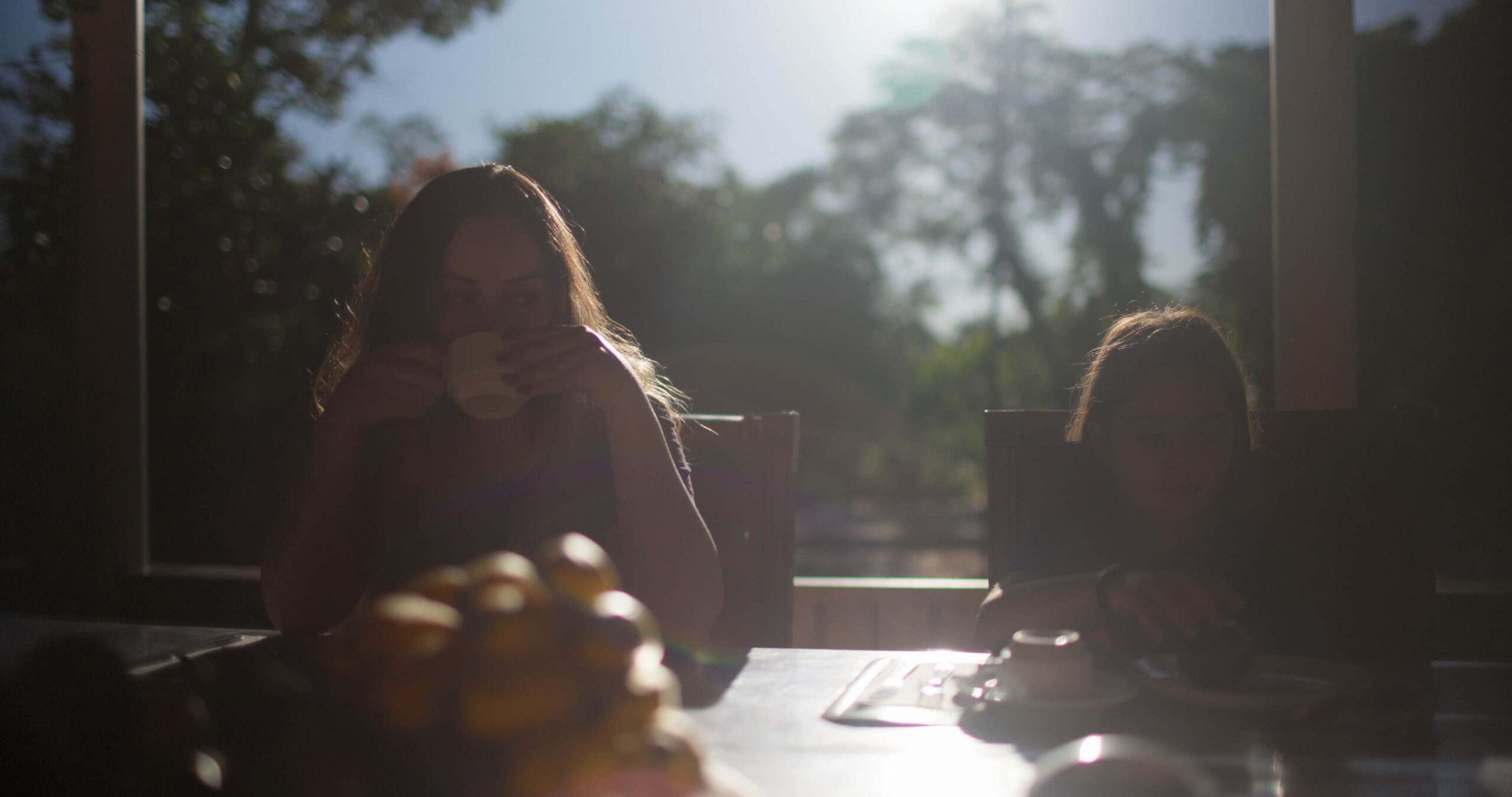 V1-0024_A_0005C072H260328_073443O0_CANON.mov.00_27_18_41.Still001
